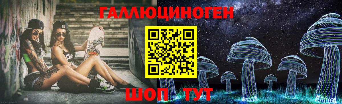 Чита  Галлюциногенные грибы GOLDEN TEACHER  Вход с VPN 